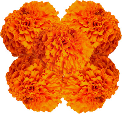 Marigolds 5 Stem - Each - Image 1