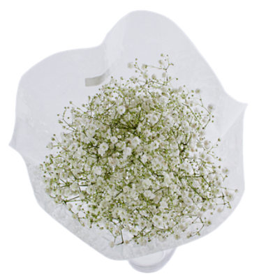 Baby's Breath 3-stem bunch - Image 1