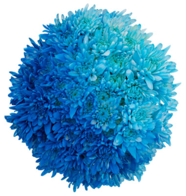 Ombre Poms - Each - Image 1