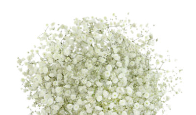 Bunches Gyp Standard White - Each - Image 1