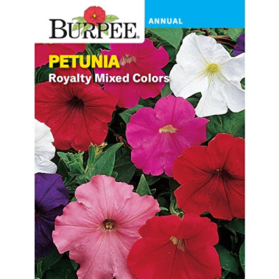 Petunia Royalty Mix - 50 GR - Image 1