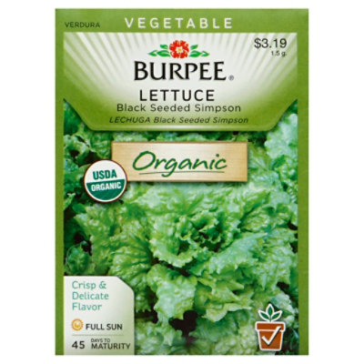 Lettuce Black Seeded Simpson Organic - EA - Image 1