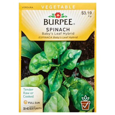 Spinach Babys Leaf Hybrid - EA - Image 1