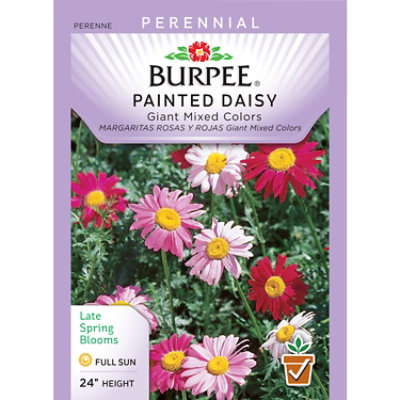 Per Daisy Painted Mix - EA - Image 1