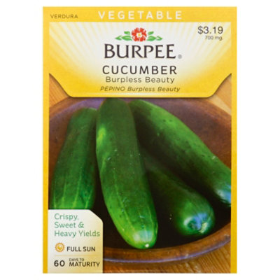 Cucumber Burpless Burpless Beauty - EA - Image 1