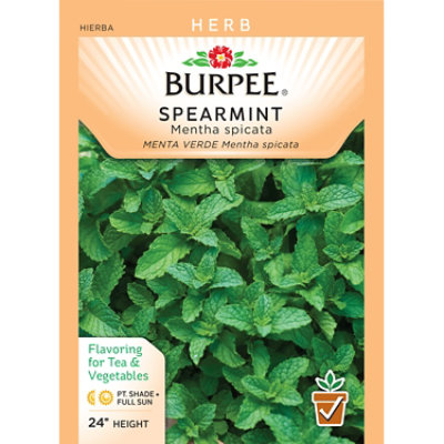 Spearmint Herb - EA - Image 1