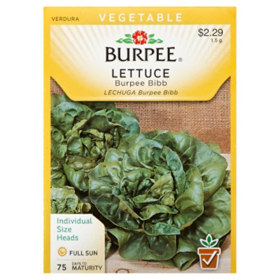 Lettuce Head Burpee Bibb - EA - Image 1