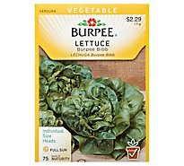 Lettuce Head Burpee Bibb - EA