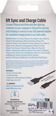 Lightning To Usb Sync & Charge Cable Black Apple Certi 6.6ft - EA - Image 3