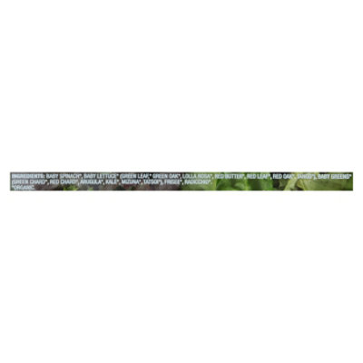 O Organics Half & Half Salad Blend - 11 Oz - Image 3