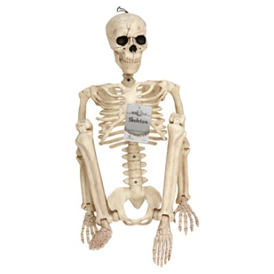 Seasons Posable Skeleton 36 Inch - EA - Image 1