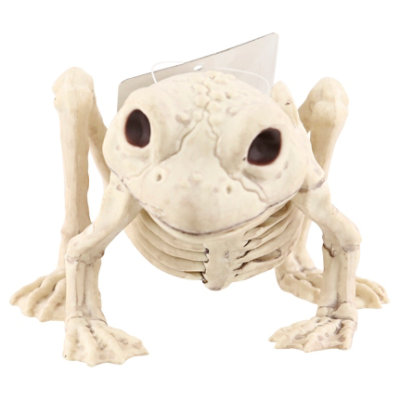 Sea Mini Skeleton Frog - EA - Image 3