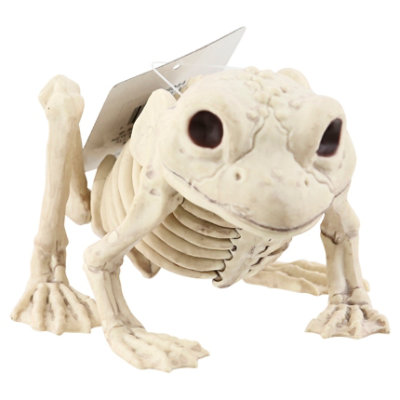 Sea Mini Skeleton Frog - EA - Image 1