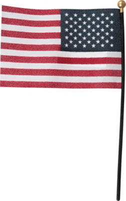 Annin Flagmakers 4X6 Inch Us Hand Flag 1 Count - Each - Image 4