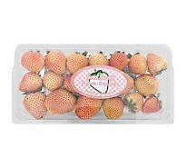 Pineberry Strawberry White - 10 OZ