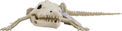 Sea Mini Skeleton Aligator - EA - Image 2