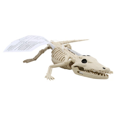 Sea Mini Skeleton Aligator - EA - Image 1