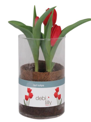 Bulbs Astd In Glass - EA - Image 1