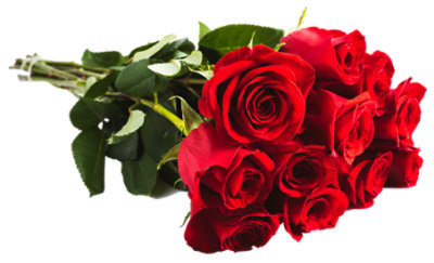 Premium Long Stem Dozen Roses - Ea. - Image 1