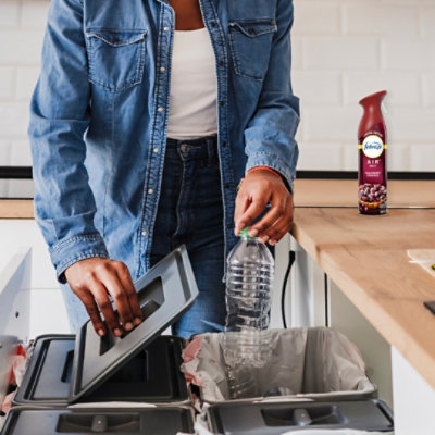 Fabreze Air Cranberry Tart - 2-8.8 OZ - Image 6