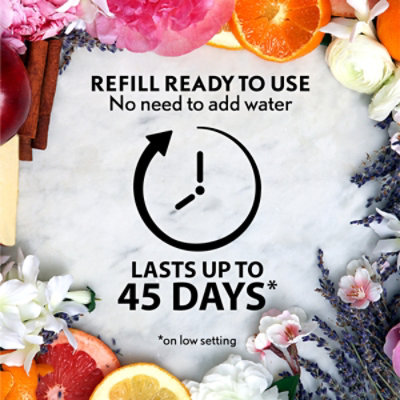 Air Wick Pumpkin Spice Essential Mist Refill - Each - Image 6