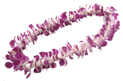 Lei Single - EA
