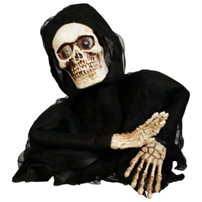 Gem 2ft Hooded Skull Crawler - EA - Image 3