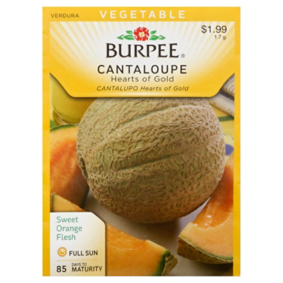 Cantaloupe Hearts Of Gold - EACH - Image 1