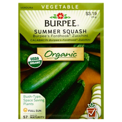 Squash Summer Burpees Fordhook Zucchini Organic - EA - Image 1