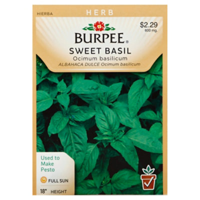 Herb Basil Sweet - EACH - Image 1