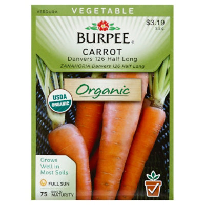 Carrot Danvers 126 Organic - EA - Image 1