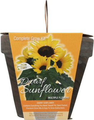 Sunflower Dwarf Kit - EA - Image 2