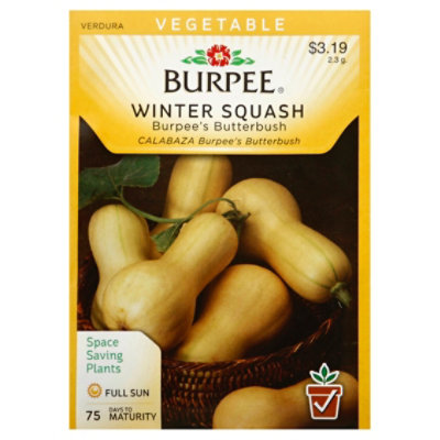 Squash Winter Burpee S Butterbush - EA - Image 1