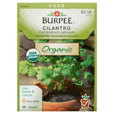 Herb Cilantro Organic - EA - Image 1