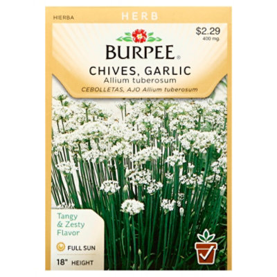 Herb Chives Garlic - EA - Image 1