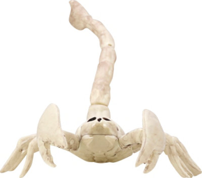 Sea Mini Skeleton Scorpion - EA - Image 2