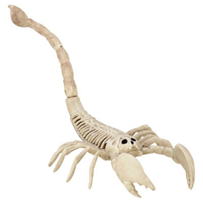 Sea Mini Skeleton Scorpion - EA - Image 1