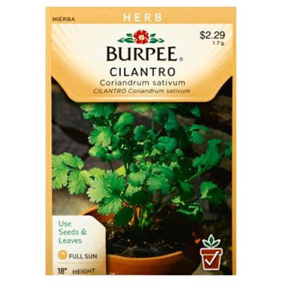 Herb Cilantro - EACH - Image 1