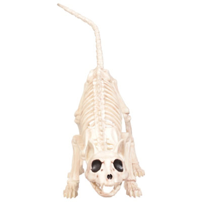 Seasons LTD Kitty Skeleton 1 Count - Each - Image 3