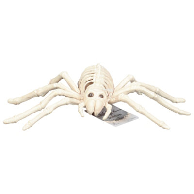 Sea Mini Skeleton Spider - EA - Image 3