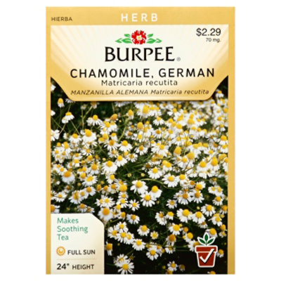 Herb Chamomile - EA - Image 1