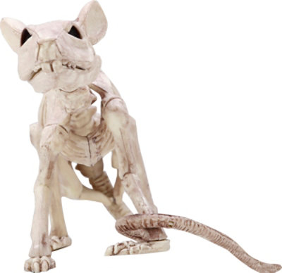 Sea Mini Skeleton Rat - EA - Image 2