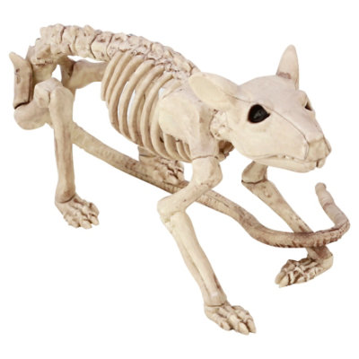 Sea Mini Skeleton Rat - EA - Image 1