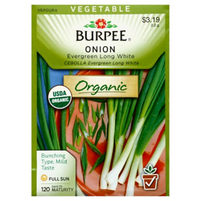 Onion Evergreen Bunching Organic - EA - Image 1