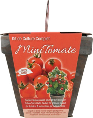 Seed Tomatoes Mini Kit With Basalt Terra Cotta Pot Seeds And Planting Med - EA - Image 4