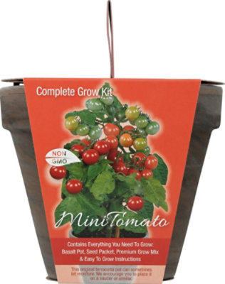 Seed Tomatoes Mini Kit With Basalt Terra Cotta Pot Seeds And Planting Med - EA - Image 2