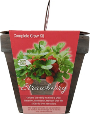 Seed Strawberry Kit W/basalt Terra Cotta Pot Seeds And Planting Medium - EA - Image 2