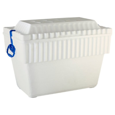 Deluxe Foam Cooler with Lids  Online grocery shopping & Delivery