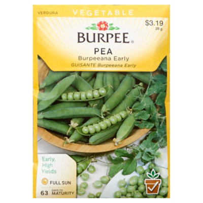 Burpee Ana Early Pea - EA - Image 1