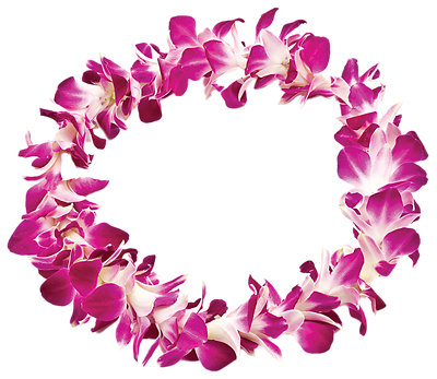Orchid Lei Dendrobium Single - Each - Image 1